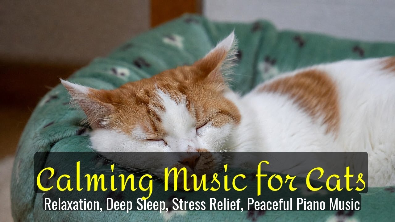Calming Music for Cats - Relaxation, Deep Sleep, Stress Relief, Peaceful Piano Music | Season 44