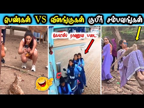 பெண்கள் மற்றும் விளங்குகளின் செம காமெடி சம்பவங்கள் 