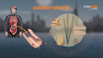 STEM Crew Nutrition & Fitness