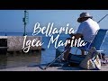 Bellariaigea marina in 4k  travel