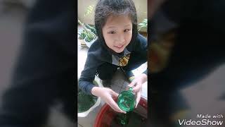 王品涵的魚