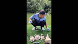 🔥Live Fishing: Catching Big Fish Today! 🎣