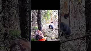 Экстремальная охота на медведя | Настоящее приключение#MountainHunting#WildNature