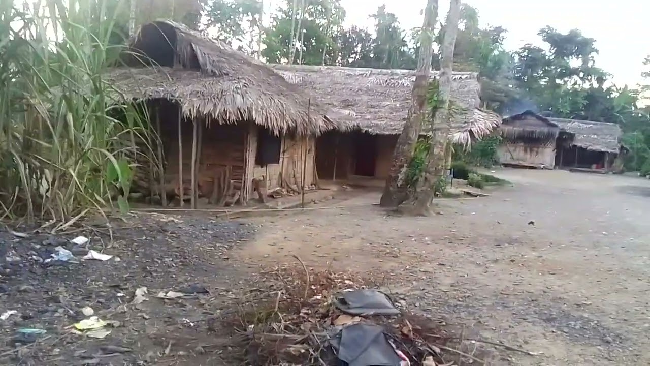 The issues and problems face by the  Naginimora.  Due to coal mining..