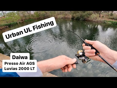 Urban Micro Bass Fishing with JDM Super Ultralight Rod #ultralightfishing  #bassfishing 