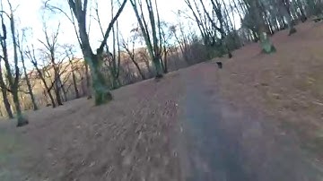 Diatone 37 250 racer + Runcam HD2 test