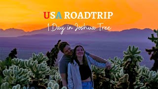 BEST THINGS TO DO IN JOSHUA TREE!! Cholla Cactus Garden, Skull Rock, and MORE. Joshua Tree Vlog!