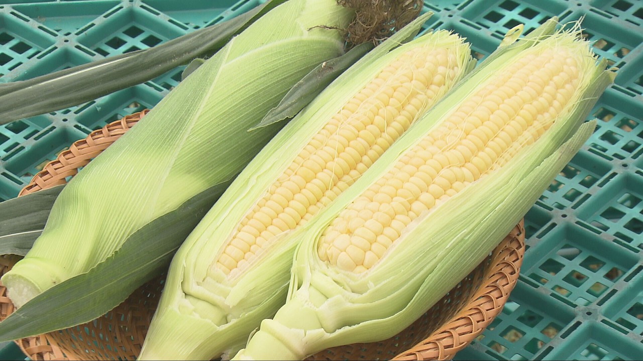 A Taste of Early Summer Packed with Sweetness: 