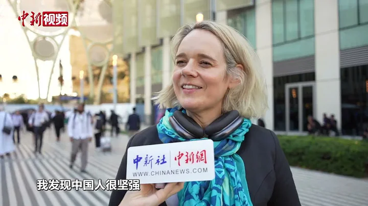 COP28參會嘉賓的中國印象：中國在綠色領域非常領先 - 天天要聞