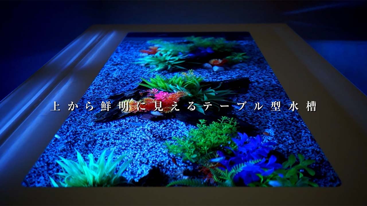 バーズアイ水槽 上から鮮明に見えるテーブル型水槽 YouTube