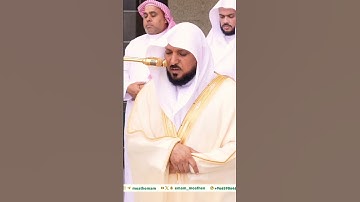 تلاوة جميلة جداً من صلاة الجمعة لفضيلة الشيخ د. ماهر المعيقلي || أفلا ينظرون إلى الإبل كيف خلقت