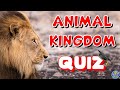 &quot;ANIMALS&quot; Quiz! | How Much Do You Know About &quot;ANIMAL KINGDOM&quot;? Test/Trivia/Quiz