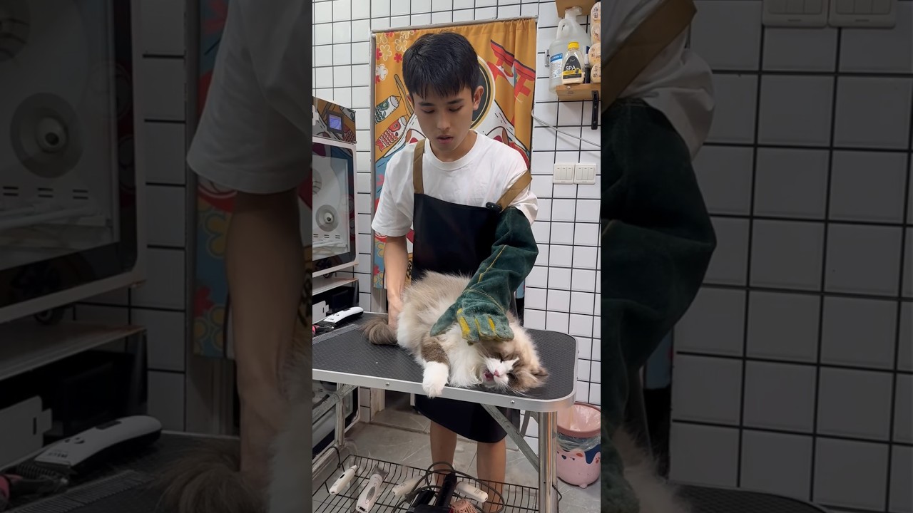 What's wrong with her 