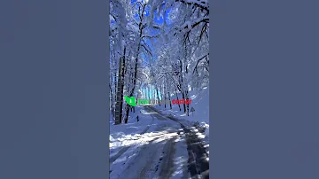The First Snow Fall Of 2025 In Iran Gilan Province Lahijan Siahkal City 