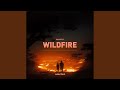 Wildfire