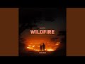 Wildfire