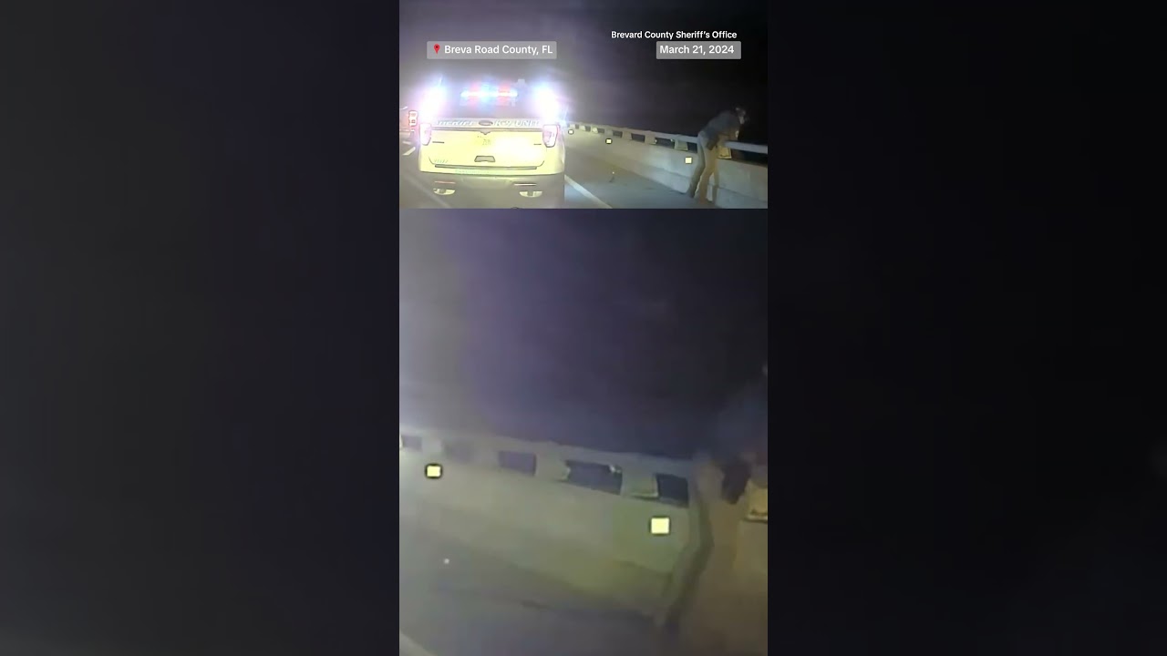 K9 Deputy saves K9 after jumping off freeway in Brevard County, FL