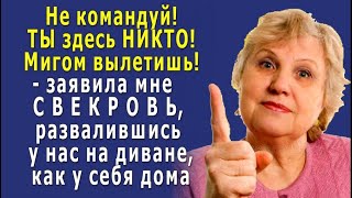 - Не командуй, ТЫ здесь НИКТО! - прихожу с работы, а СВЕКРОВЬ лежит у нас на диване, как у себя дома