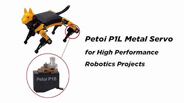 Harnessing Quadruped Power: Petoi High-Performance Metal Servos in Action with Bittle Robotics Kit