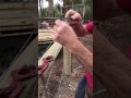 Bob The Fencer - Straining and tying off fence wire