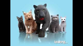 Playing cat simulator 2015 on iOS 12