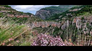 Ne vom întoarce într-o zi acasa, Daniel Vultur instrumental Cornel Iana