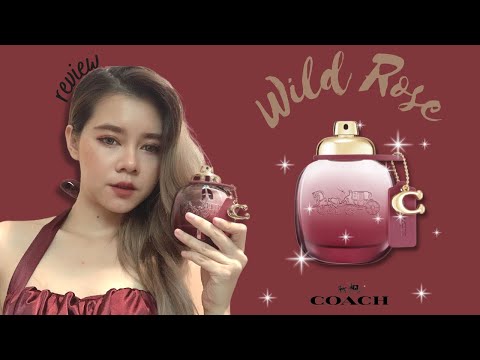 PERFUME HAUL l รีวิวน้ำหอม Coach Wild Rose EDP ตัวใหม่ล่าสุด 2022 l THAINY.PERFUME