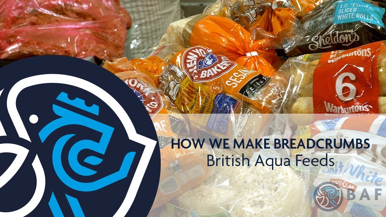 How we make Breadcrumbs Short Film British Aqua Feeds YouTube