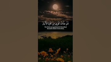 #القارئ من أروع ما قرأ الشيخ محمد أيوب