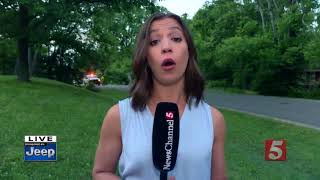 Driver Hits Pole, Flees South Nashville Crash