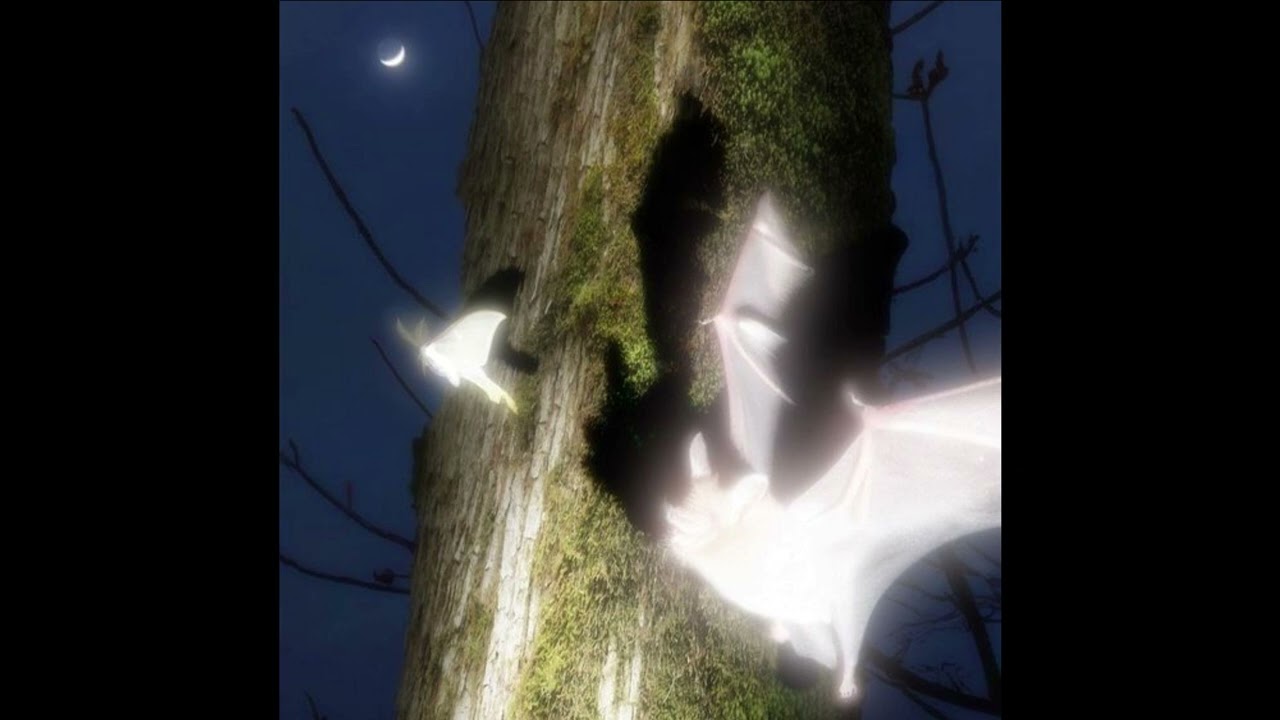 [FREE] jerk x new jazz type beat 