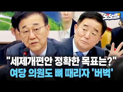<strong>여당</strong> 의원도 뼈 때리자 '버벅'