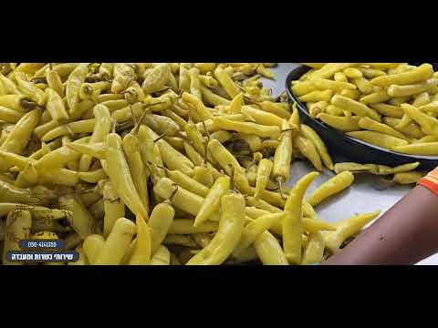 פלפל בתחמיץ, פלפל חריף, שיפקה, הרב יוסף דורפמן, Rabbi Yosef Dorffman