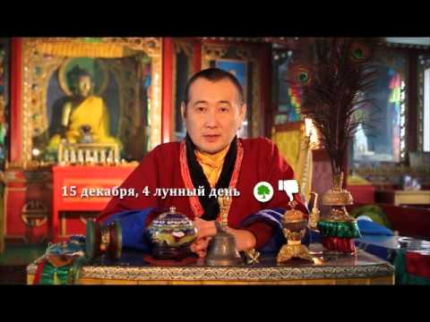 Зурхай 15 декабря