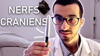 ASMR FR 👨‍⚕️ - EXAMEN DES NERFS CRANIENS (soft spoken) screenshot 4