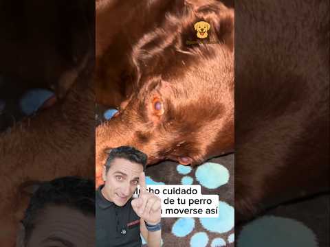 Si ves esto en sus ojos alarma #supervivencia #emergencia #curiosidades