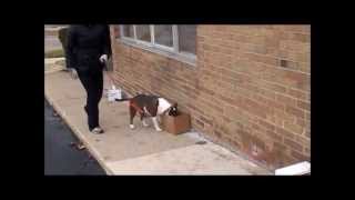 Ted 1St Time Outside