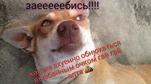 CS 1.6 Valve Hammer Editor TVG Final ver 60