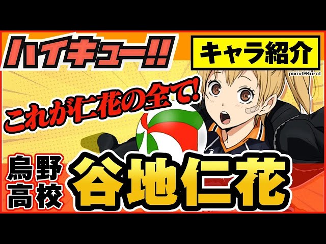 ハイキュー 谷地】ハイキュー!! 清水潔子 谷地仁花 マグバッジ j-world