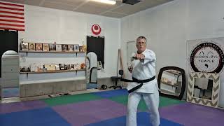 Traditional Okinawan Sai Techniques & Lesson | Ryukyu Kobudo Demonstration by Master Mark Romanovitz