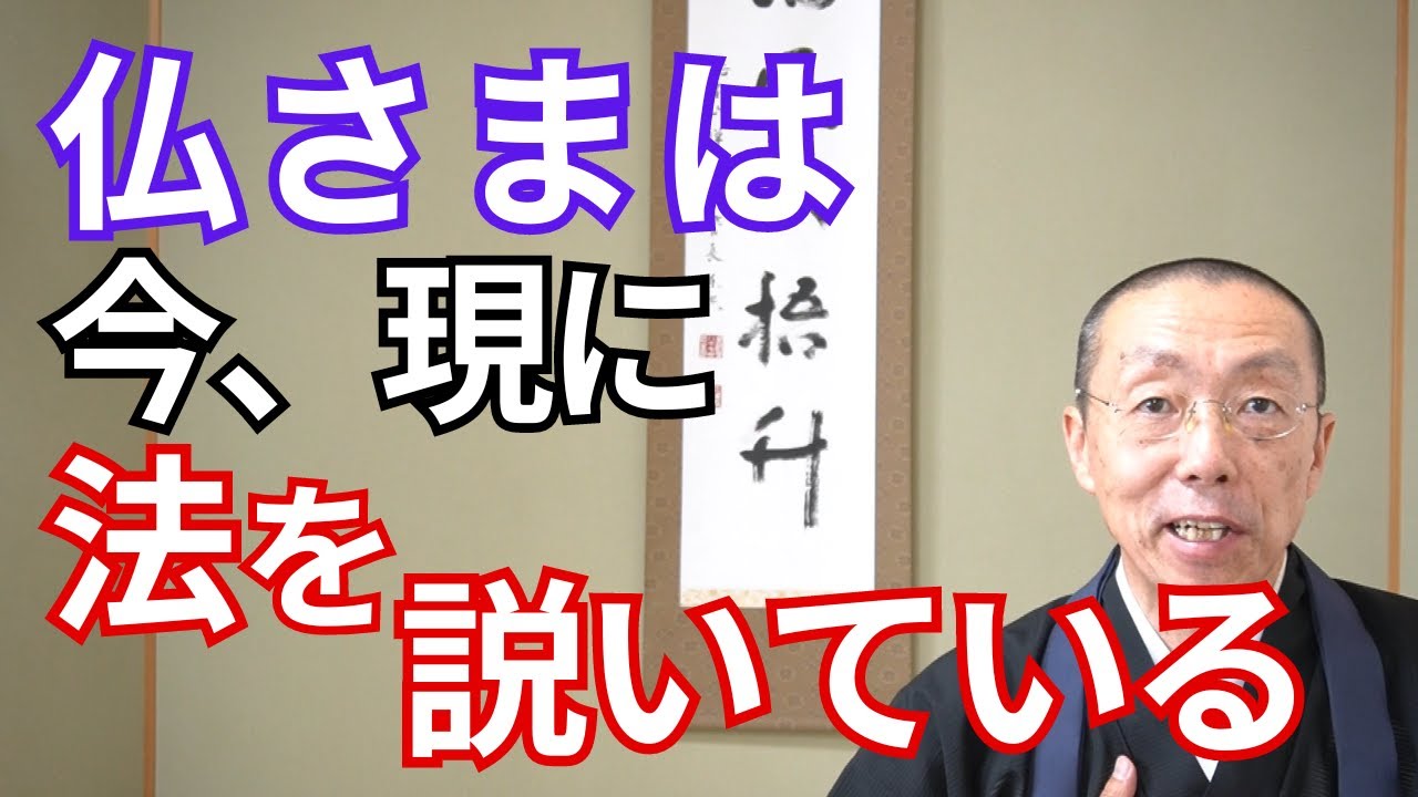 仏さまは、今、現に、法を説いている。 (ショート法話495) - YouTube