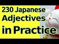 Practice: 230 Important Japanese Adjectives