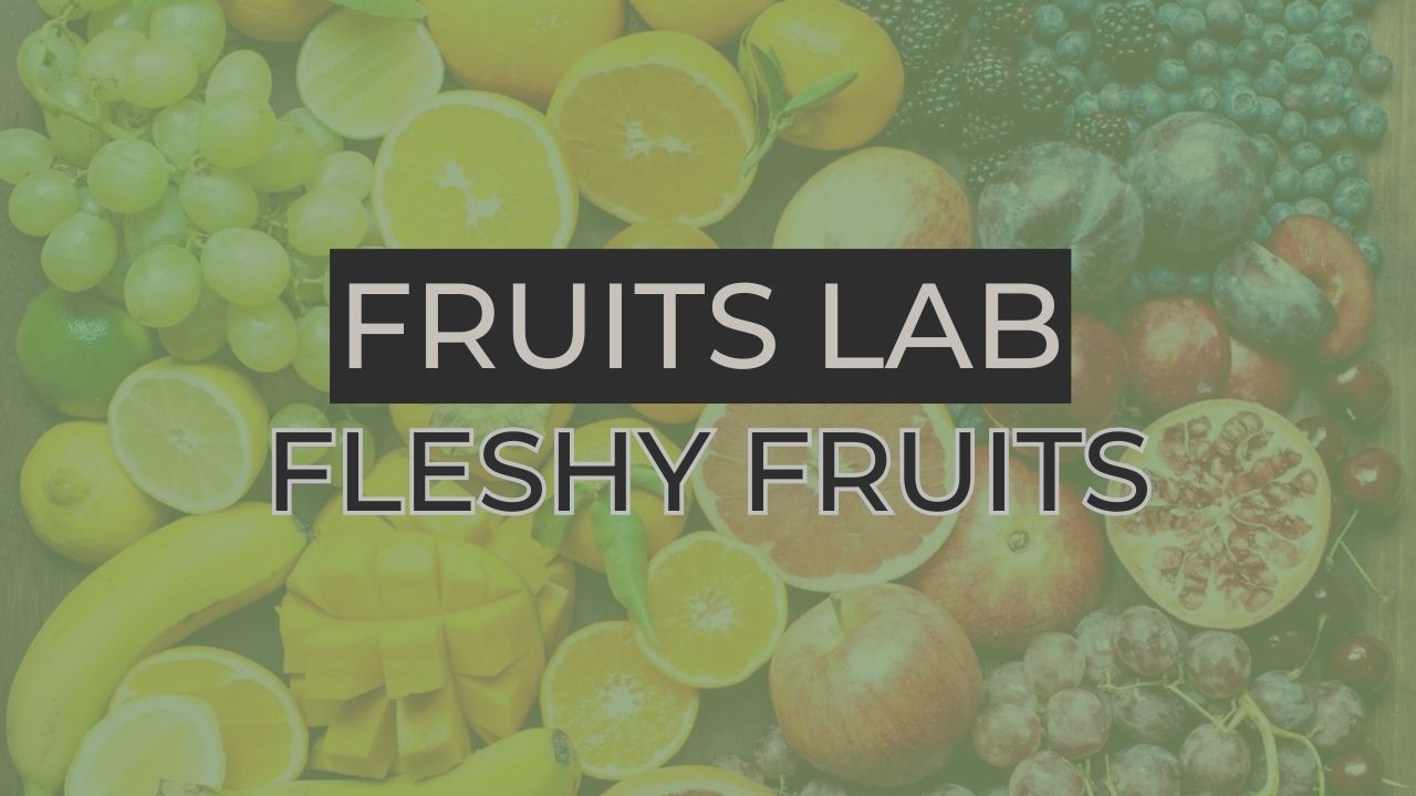 Fruits Lab: Fleshy Fruits