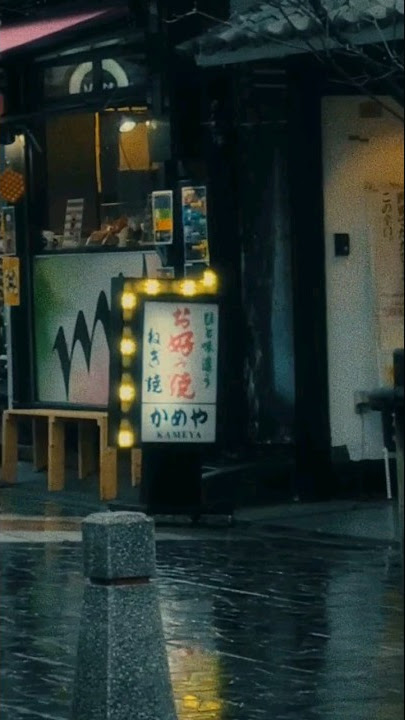 Rainy day in Nara #shorts #japan #japanvlog
