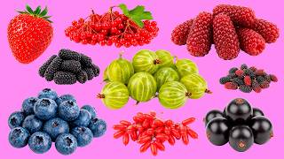 Learn Portuguese Vocabulary 🍓 o morango e frutas | Listen and Repeat Fast
