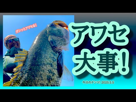 【今日のナンコ！2025.5.5】アワセ大事！【琵琶湖バス釣り】