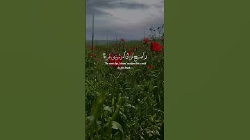 صوت يأخذك للسكينة ✨ | الشيخ عبدالعزيز سحيم – سورة القصص