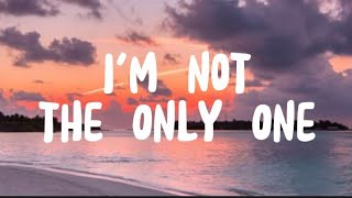 Sam Smith - I'm Not The Only One (Lyrics)