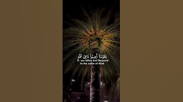القران الكريم راحة نفسية تلاوة خاشعة حالات واتساب قران كريم 💙 #حالات_واتس_اب #اكسبلور #القرآن_الكريم