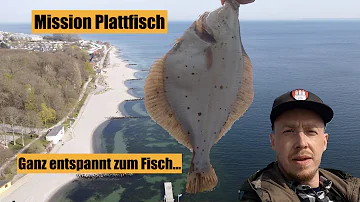 Welche Plattfische gibt es in der Ostsee?